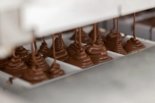 Snack Your Way to a Healthier You: How Wheybetter High Protein Chocolate Fits into a Balanced Diet